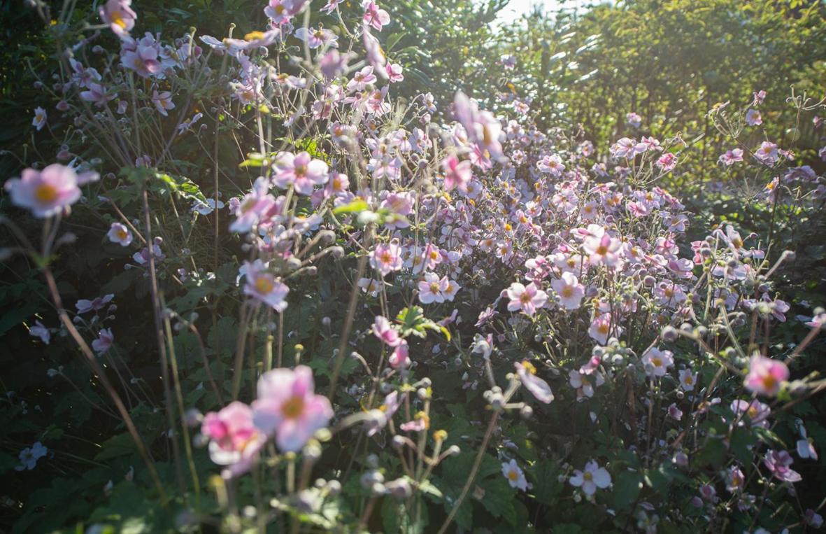 Einzigartige Naturoase Im Sueden Von Ingolstadt Brautlach Eksteriør bilde